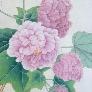 Fine Brush Painting of Flowers - Hibiscus